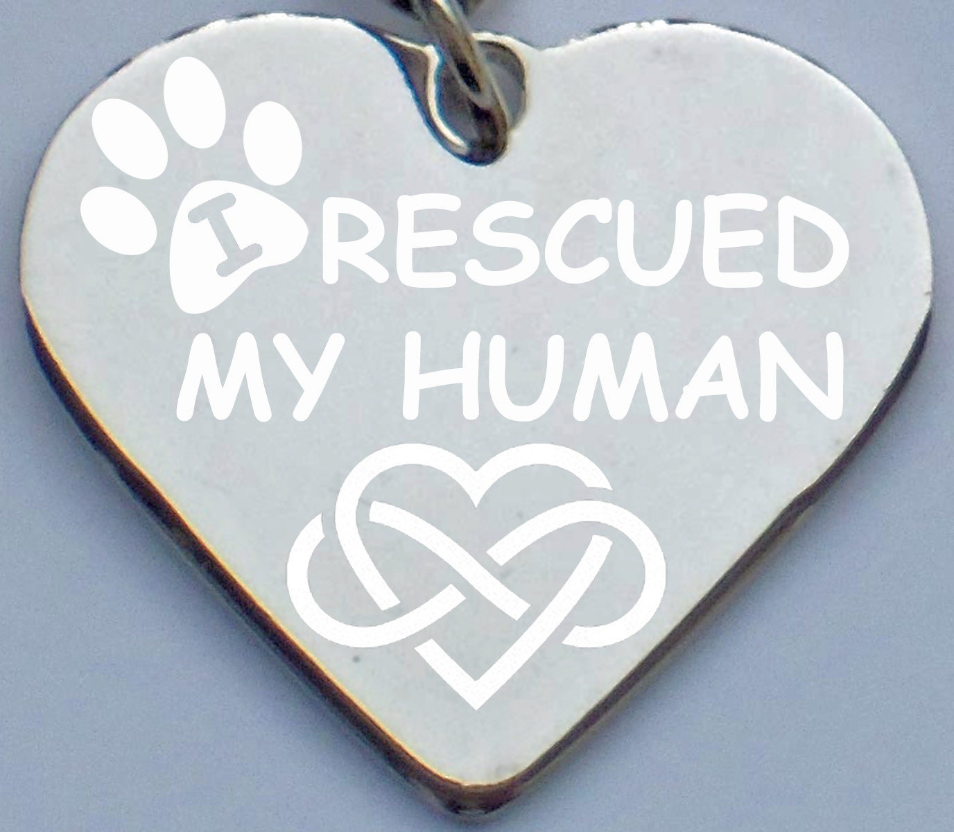I Rescuced My Human Pet Charm