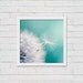 Fine art photography dandelion nature photography 5x5 fine art print teal botanical photograph blue aqua summer spring