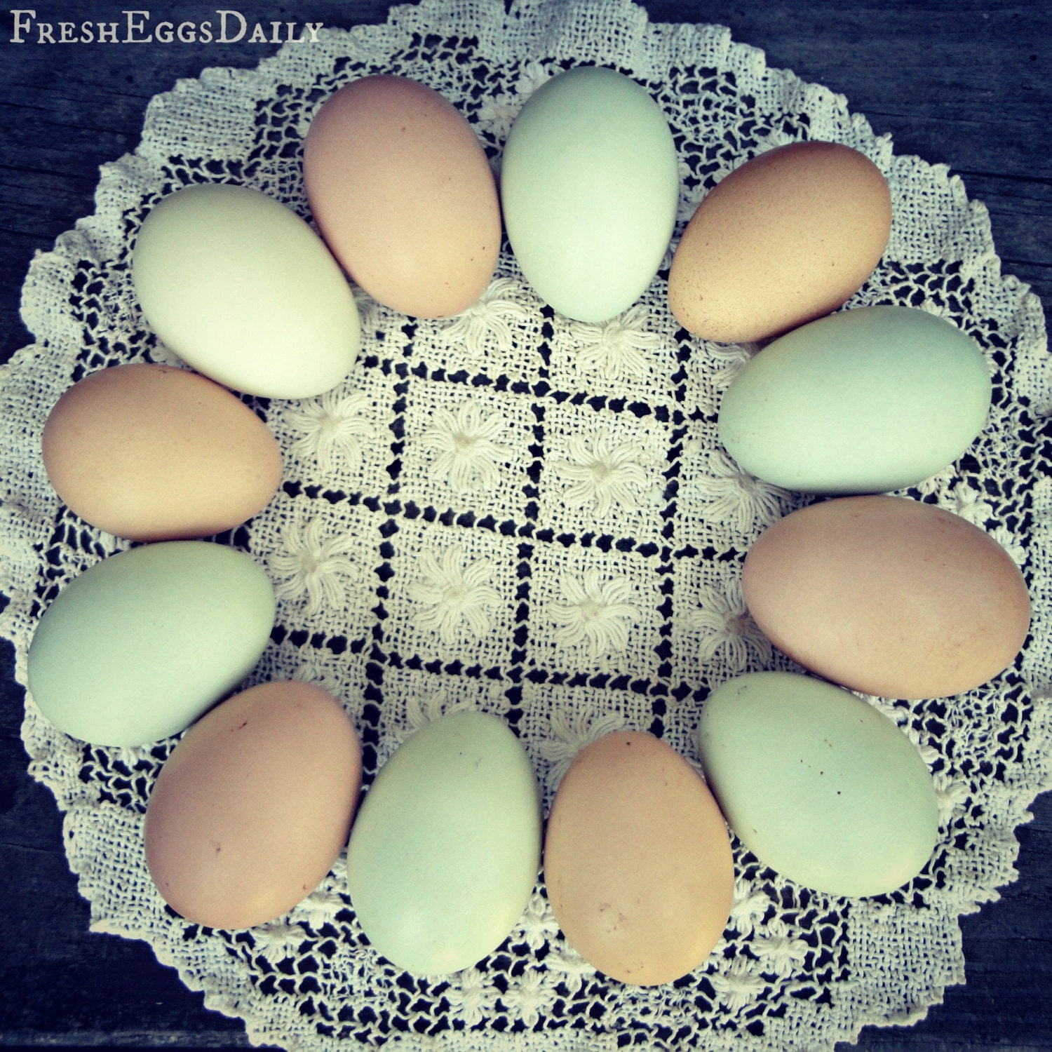 Pastel Hand-Blown Chicken Eggs Pink Blue One Dozen (12) Eggs Pysanky Easter Holiday Crafts