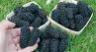 25 World's Largest Blackberry-1015