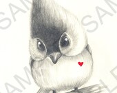 Cute Bird with Heart Original Pencil Drawing Print 11"x17" Illustration Art by Karlin Collette