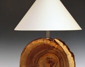 Table lamp. Desk lamp. Desert Driftwood. Log slice. 176. Naturally weathered walnut. Perfectly flawed and FULL of character.