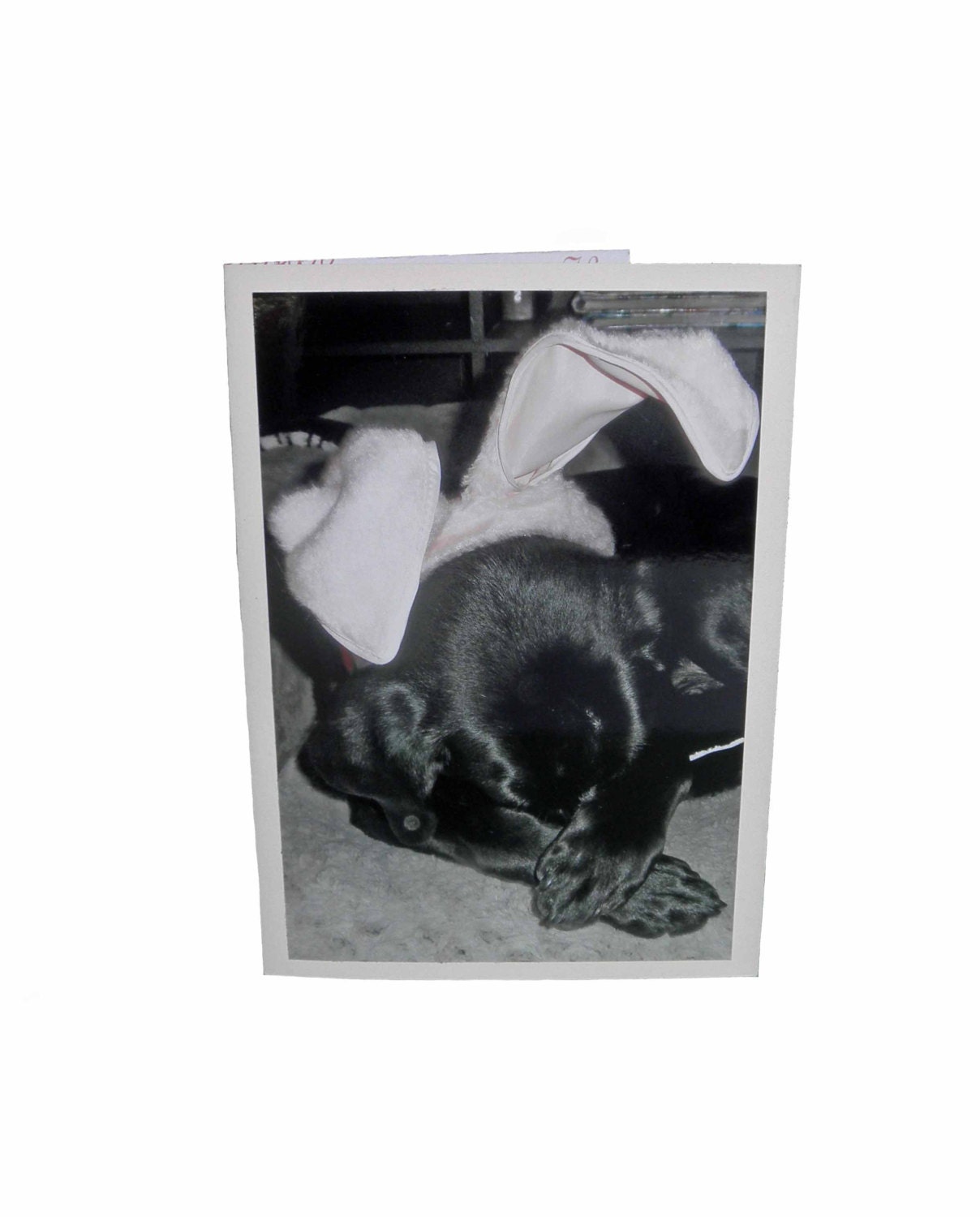 Black Lab Bunny Card, Dog Photo Easter Card