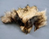 Fur Scraps Finn RACCOON Fur Face RF1513 Arctic Store Arktika Russia
