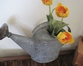 Vintage Galvanized Metal Watering Can - Brass Sprinkler Top