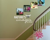 Butterfly Collection - Come Fly Away - home decor - dreamy prints,  wall art, 2 - 16X16