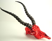Antelope Skull Taxidermy Red Chrome Natural Horns- Unique Art Sculpture