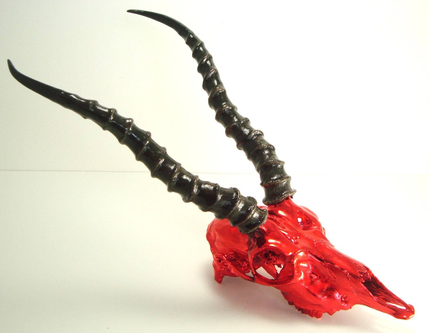 Antelope Skull Taxidermy Red Chrome Natural Horns- Unique Art Sculpture