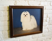 Stunning 60s-70s MALTESE Vintage Photographic Dog Portrait in Walnut Frame 1960s-1970s Photography Print Mid Century Modern Art Retro Kitsch