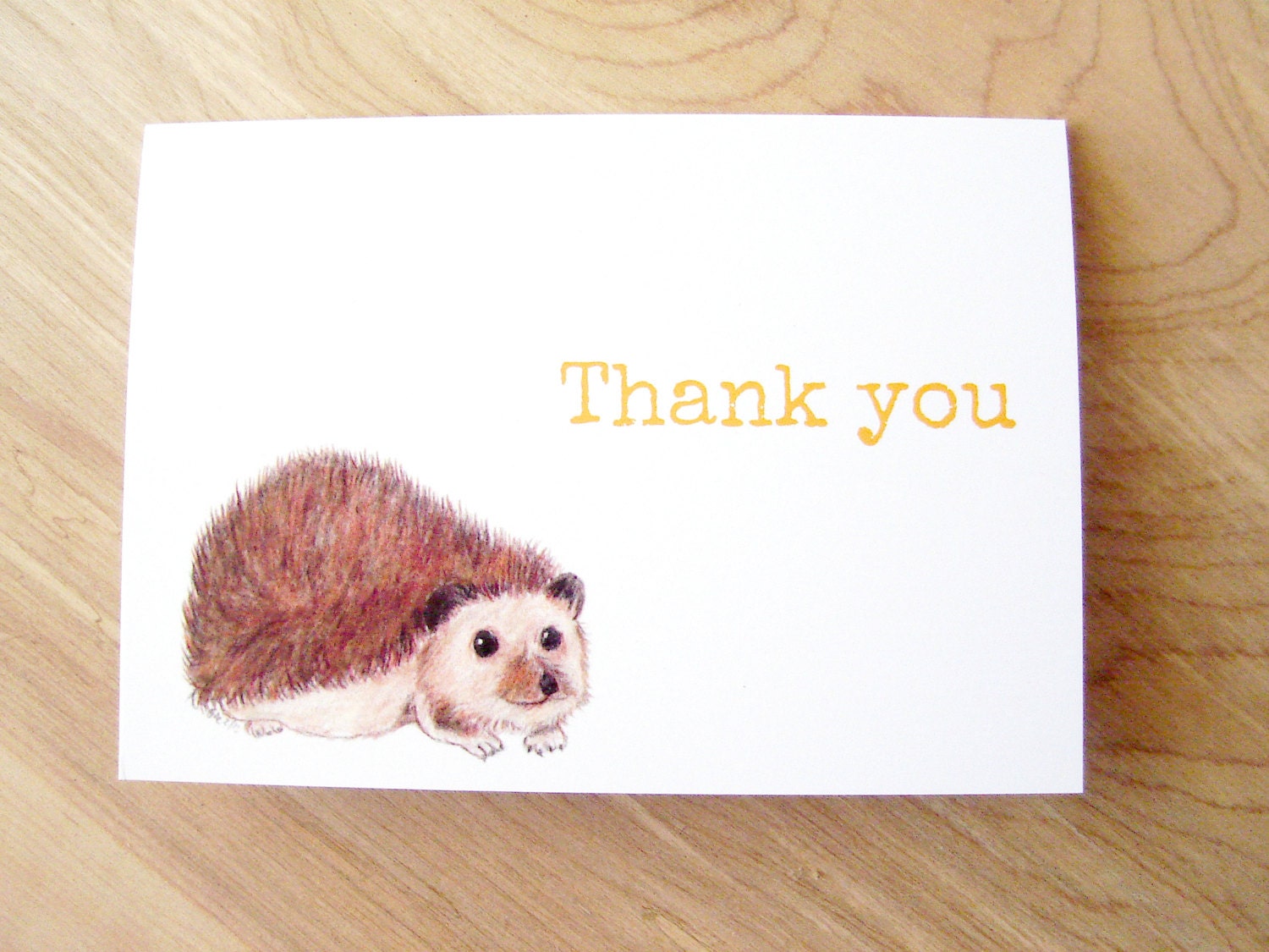 Thank You Cards - Hedgehog Thank You Cards - Set of Five Hedgehog Thank You Cards with Envelopes