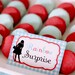 Dorothy Wizard Of Oz Birthday Party - DIY PRINTABLE BLANK Food Label - Instant Download - PS805CA1f