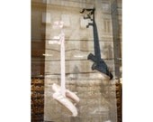 Ballet art photo, Paris photography, French decor, ballet pointe shoes, 5x7 print (13x18)F R E E  SHIPPING