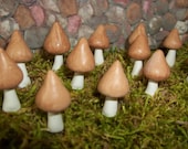 FREE Shipping 3/4" TO 1"  12 Natural look  fairy garden mushrooms miniature terrarium toadstool pixie or gnome
