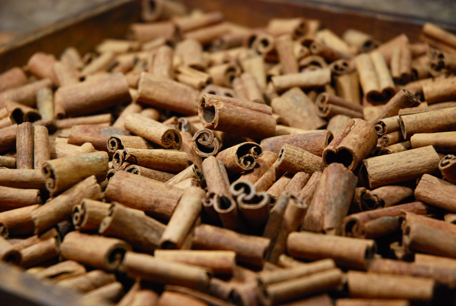 Cinnamon Sticks / 1 Inch / 1 Pound Bag
