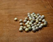 Antique Clay Marbles - Early Stoneware Marble Lot in Neutral Colors