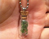 Mini Glass Bottle Pendant Necklace Green Moss Plant