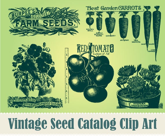 NEW Vintage Garden Seed Catalog Clip Art Collection - 100% Scalable Vector Art