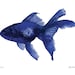 Blue Fish Giclee Print - Wall Art - Home Decor - 11x14
