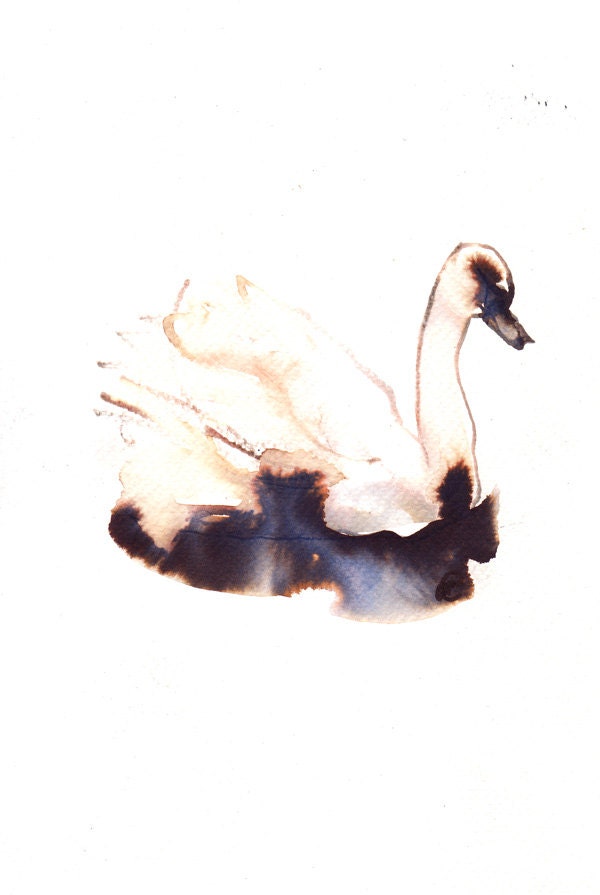 swan drawing 003 original ink and watercolour painting