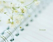 5x7 dream-notebook-baby breath flowers-fine art photography print - KrisOnealPhotography