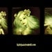 Lightpainted Doll- Porcelain Ball Jointed Doll, Tatyana, OOAK, Art Doll, Tiny, Miniature, Fairy, Faery, Gothic, BJD, Made to Order, ADE.