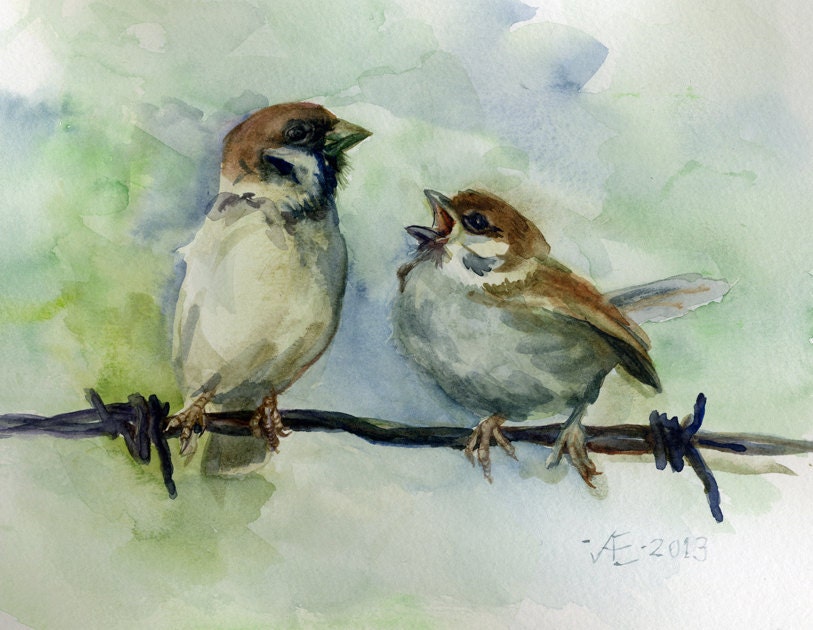 Birds watercolor painting original, Sparrows original painting, ornithological art, Eurasian Tree Sparrow (Passer montanus)