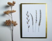 Reed Grass Greetings Card