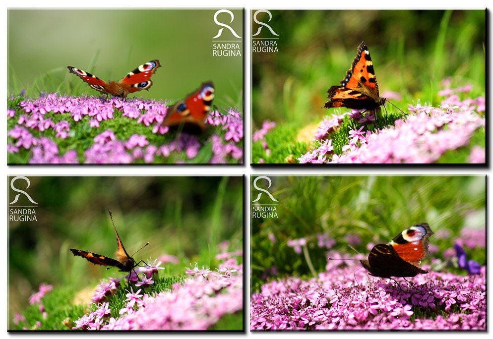 Spring butterfly and flowers greeting card, pick your favorite butterfly image, folded card, A6 size