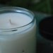 Ginger Lily Large Spa Jar Soy Candle