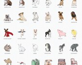 5 Decal Stickers of Your Choice