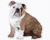 Hamilton the English Bulldog Decal Sticker