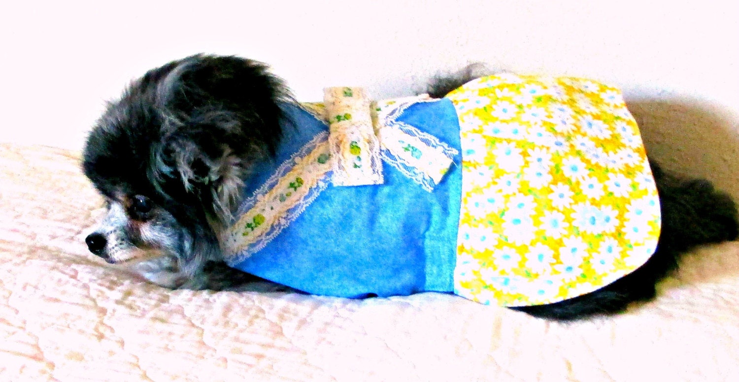 Dog Dress Made to Order Toy and Teacup Size - Blue & White Daisies on Yellow Background w/Lace Trim