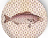 Sea Life Fish III - 1800s fish artwork - 10 inch Melamine Plate