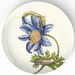 1600's botanical artwork II - reproduced on 10 inch Melamine Plate with a softly aged off-white background