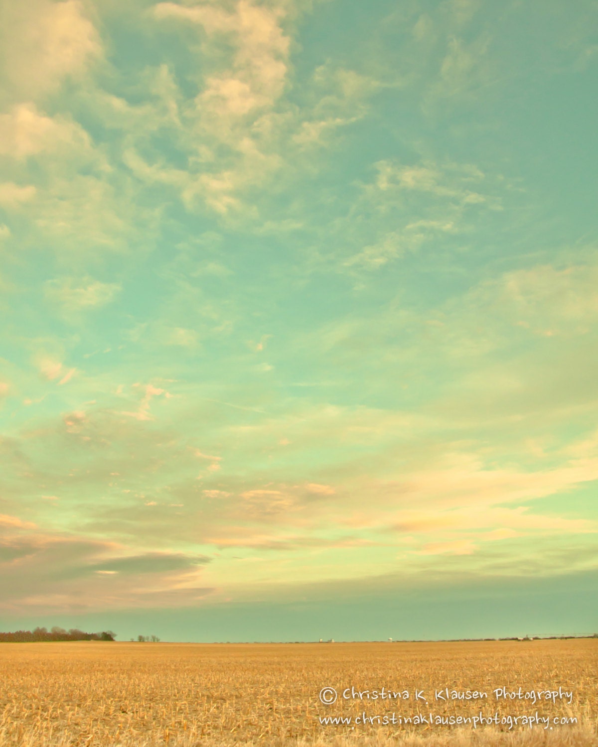 Sunset Photograph. Nebraska Landscape Photo. Nebraska. Wispy Clouds over Cornfields Photograph. Fine Art Photography 8x10 Print