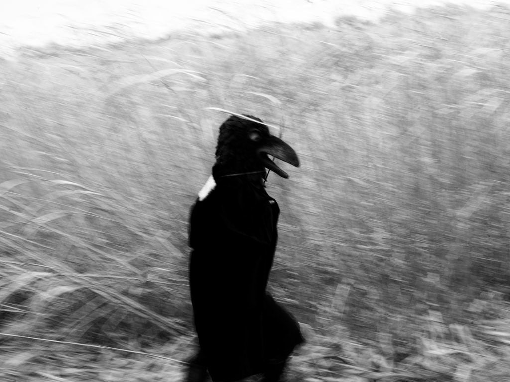 Hand Made to Order: Hand felted Raven animal mask / head dress suitable for performace, dance or theatre