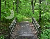Bridge Over Stream, Digital Download Photography, Fine Art Photo, woods, forest, woodland, landscape