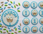 Fondant Cake, Cupcake Toppers - Owls First Birthday Party Pack (Boy)