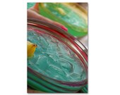 BLUE MARGARITA, Tropical, Beach, Kitchen, Food Photography, Vacation, Fine Art,