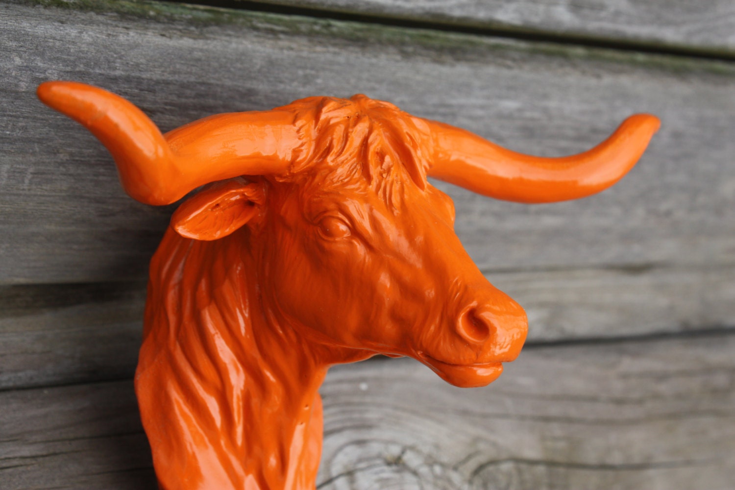 ORANGE  Resin Longhorn Hook / Shabby Chic / Western / Coat Hook / Key Hook / UT LONGHORNS