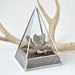 Glass Terrarium - Moss Terrarium - Succulent Terrarium
