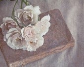 Antique Roses Photography - Printable Art - Download - Fine Art Photography - Home Decor - 11x14"