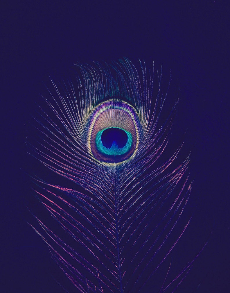 Peacock Art Print - Printable - Download - Fine Art Photography - Modern - Home Decor - 11x14"