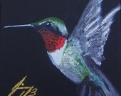 Tiny Ruby-throated Hummingbird on Black Background Original Painting - Introductory SALE price