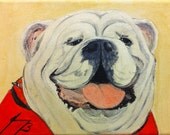 Content GA Bulldog 5 X 7 Original Painting