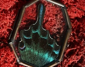 Encased Butterfly Wing Necklace - Cabinet of Curiosities