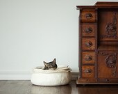 Cat bed/cat house/cat cave/white flower felted cat bed