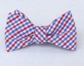 Blue & Red Gingham Bow Tie