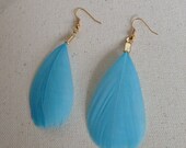 Sky Blue Feather Flow