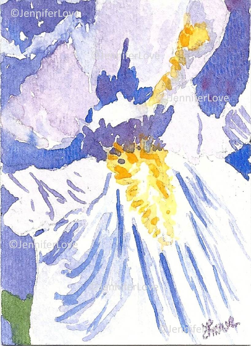 Original Watercolor - Jennifer Love Artwork ACEO Lavendar Purple Iris art painting 3.5 x 2.5 Eye of the Iris  OOAK sfa EBSQ